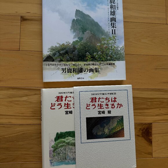 Studio Ghibli Rare Art Book Lot Miyazaki Nausicaa Boy Heron Storyboard Collector - Picture 1 of 7